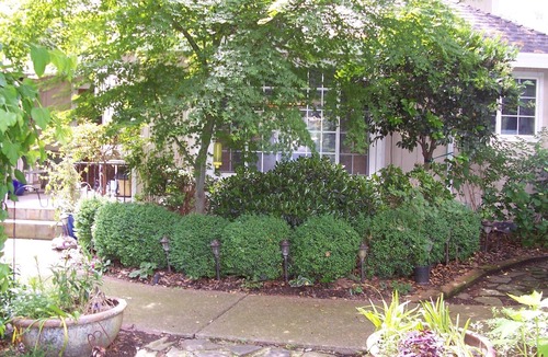 Loomis Apartment | Private And Quiet Country Folsom Lake, Riding Trails & More!