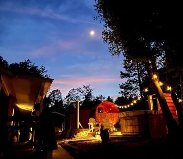 North Fork House | Private Cabin with Hot Tub & Sauna Near Yosemite