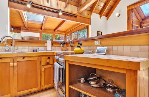 Guerneville House | Redwood Canopy Getaway! Guerneville~Russian River! EV~Hot Tub!~TreeFort