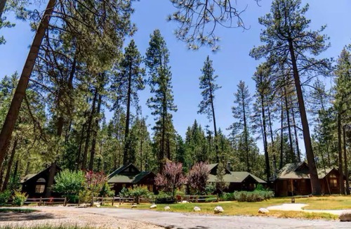 Idyllwild Cabin | Relaxing Studio in Idyllwild