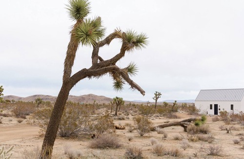 Yucca Valley Villa | Romantic Desert Getaway w/ hot tub, stargazing and 5 acres of VIEWS!