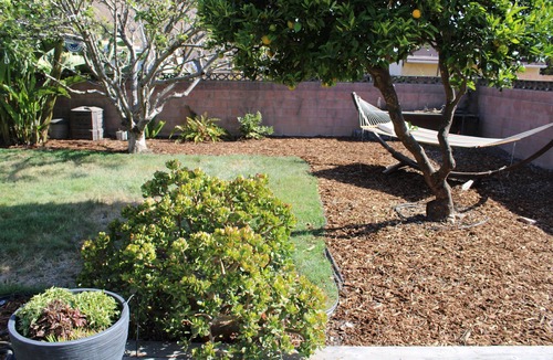 Ventura House | Room in West Ventura Oasis near beaches with valley views