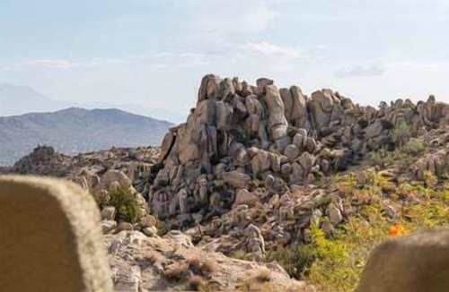 Yucca Valley House | Saguaro Ridge by Fieldtrip - Palm Tree Oasis - Pool & Yoga Deck