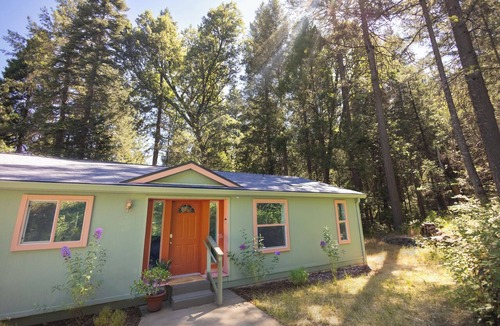 Nevada City Cabin | Saltwater Hot Tub, Forest Retreat, Minutes to Town, 1 hr Scenic Drive to Tahoe