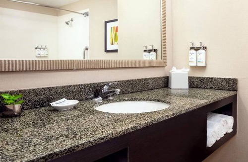 Ocotillo Hotel | Standard King at Holiday Inn Phoenix Chandler - Outdoor Pool & Pets are Welcome!