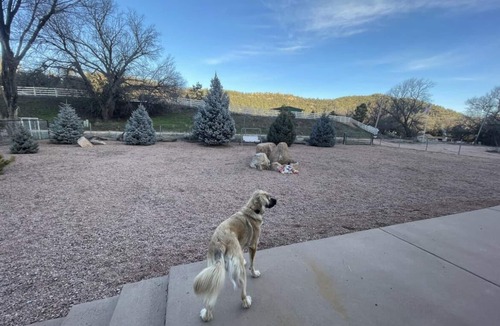 Payson House | The Happy Place - Acre - Fenced Yard - Creek Permit #STR24-03