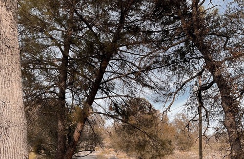 Yosemite Lakes House | The Wildflower