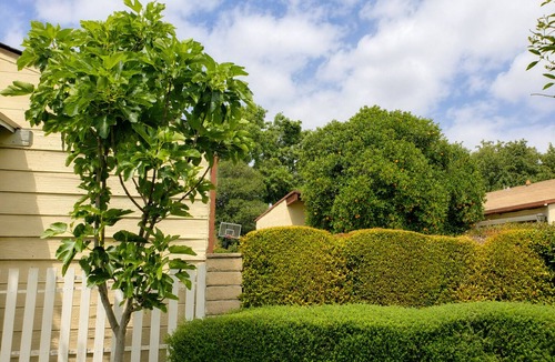 Los Angeles House | Urban Oasis: Private 2BR + Lush Backyard in LA