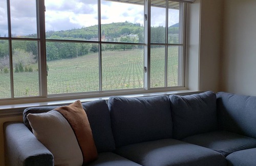 Kelseyville Apartment | Winery Stay in the Vineyard Loft tucked amongst the vines at Boatique Winery