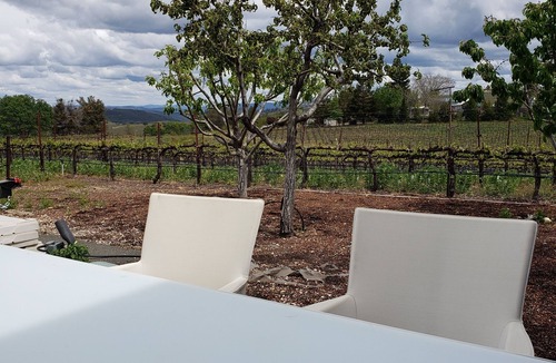 Kelseyville Apartment | Winery Stay in the Vineyard Loft tucked amongst the vines at Boatique Winery