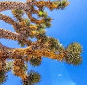 Yucca Valley House | Yucca Valley Glampiing Spot with Hot-Tub and Full Amenities