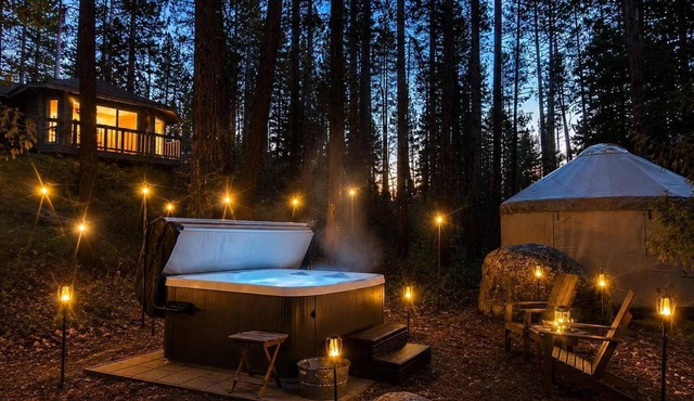 1-Acre Forest Sanctuary | Hot Tub | Wellness Yurt