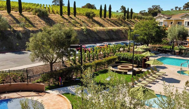 1 Bedroom Condo, Sleeps 4, Vino Bello Resort, Napa!