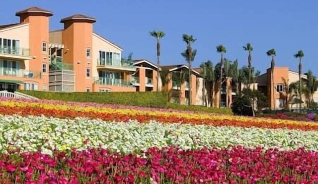3/2 Grand Pacific Palisades Resort & Spa, Pool