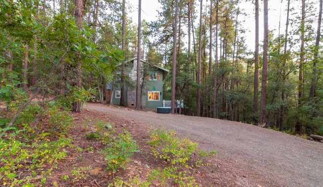 ♨ Acre Retreat w/HotTub ♨ Secluded in the National Forest ♨ 9mi to downtown ♨