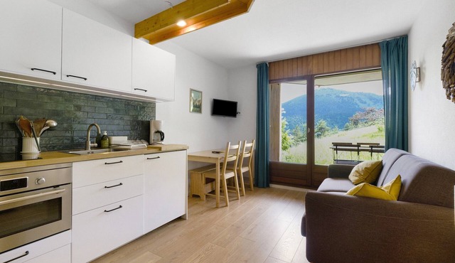 Apartment 'La Canopée - Grand Veymont View' with Mountain View and Private Terrace