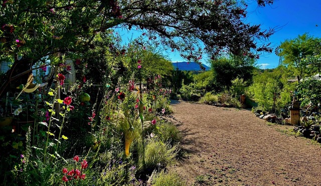 Artistic home and gardens Just a stones throw to Roosevelt Lake.