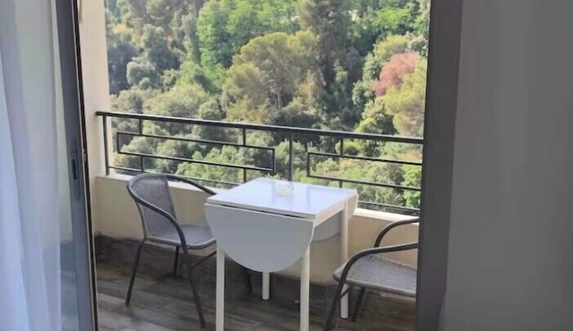 Beautiful 45 m² apartment with balcony in Nice
