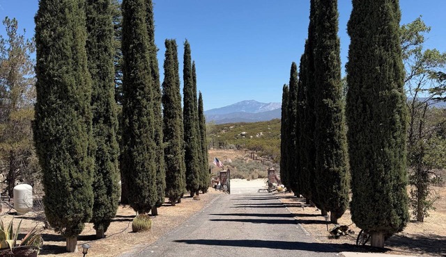 Beautiful family and pet friendly estate in Temecula Wine Country region