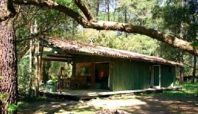Between forest, Lac d'Hossegor & Atlantic beaches - Charming wooden house for 5p