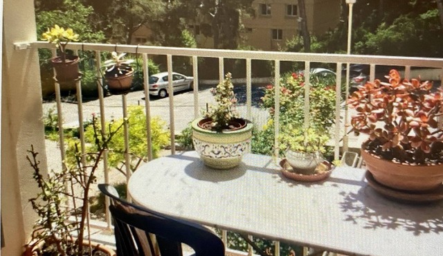 *Bright Comfortable Apartment 5 Min Walk to Town & Beach VERY CLEAN*