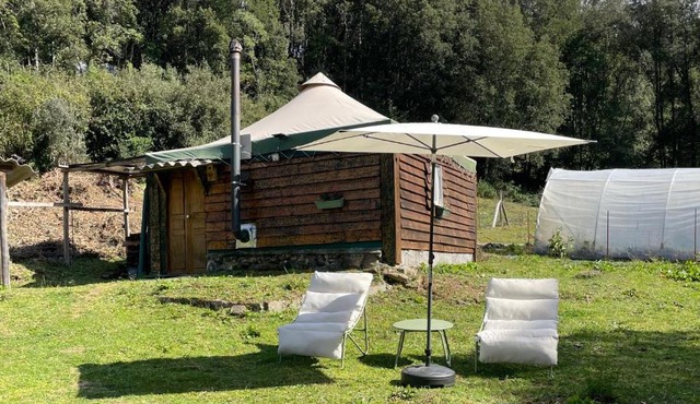 Cabane 2 in Olivese