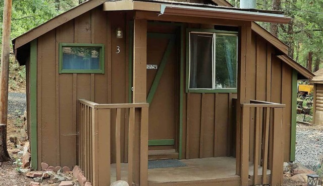 Cabin #3 - Studio with fireplace