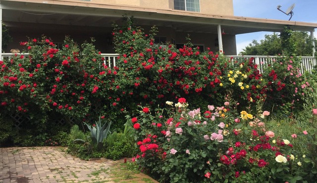 Canyon Lake CA gated City CozyTwo bedroom ,two bath Home with beautiful garden