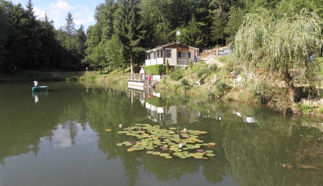 Chalet overlooking a pond in a green setting.