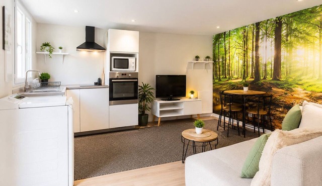 Charming 1-bedroom apartment near Geneva, between the lake and the mountains