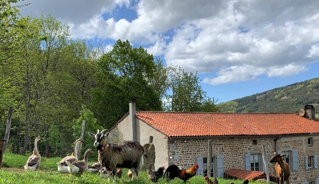 Charming accommodation with fireplace and garden in Sauvain in Sauvain