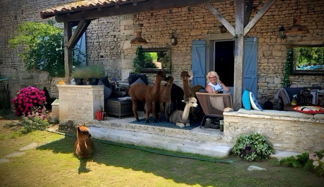 Charming bed & breakfast on an Alpaca Farm in the historic Limalonges Village in Limalonges