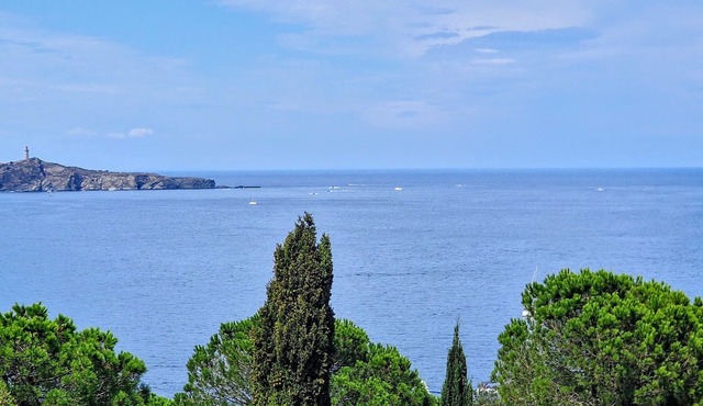 Charming studio with terrace and parking in Banyuls-sur-Mer