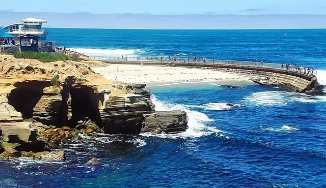 CLOSE TO THE BEST ATTRACTIONS! Three Elegant Units Near Beaches, Restaurant