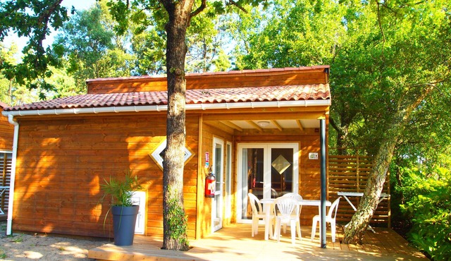 Comfort* "hazelnut" E (sleeps 4)