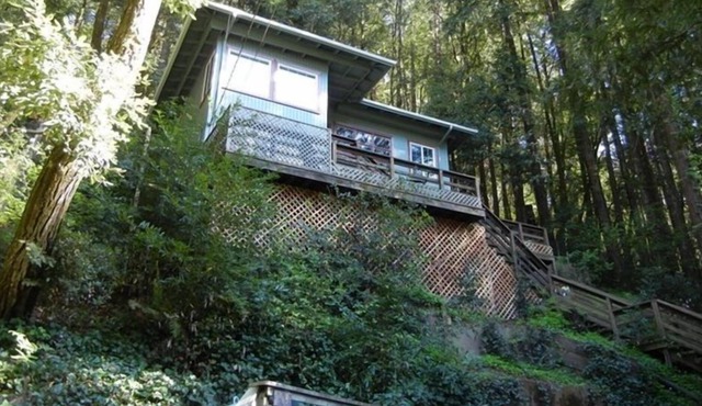 Cozy Cabin at the River 20 Min Walk to Town 2 Day Min