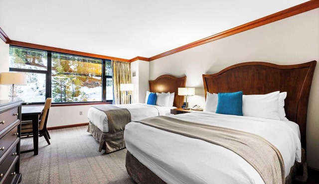 Deluxe Forest View Studio-No Resort Fees for July