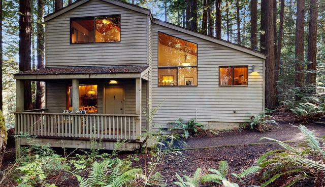 Dog-friendly forest retreat among redwoods, walk to Hot Spot & Gualala River