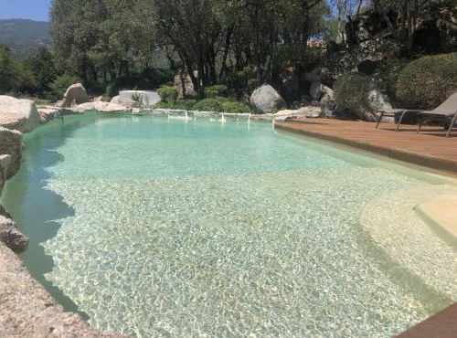 Domaine Pardini