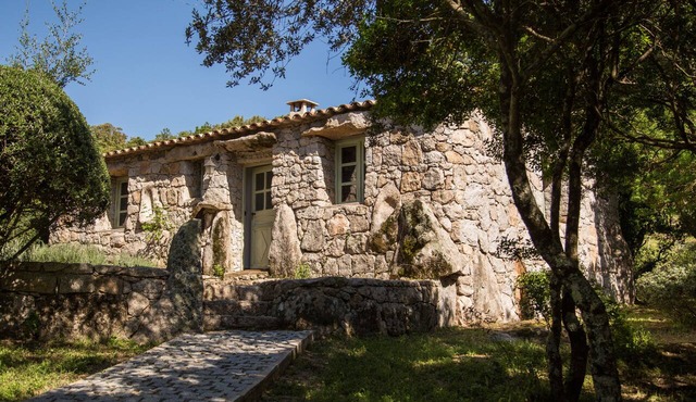Domaine Pardini - Casetta Murta