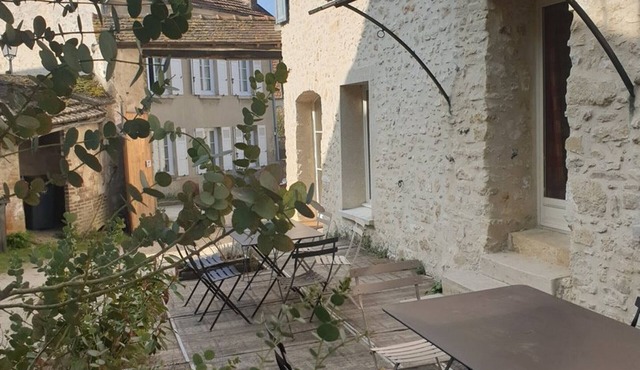 Gite Vienne-en-Arthies, 5 bedrooms, 12 persons