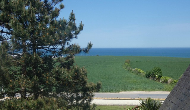 House facing the sea, with swimming pool and SPAOMAHA GITES