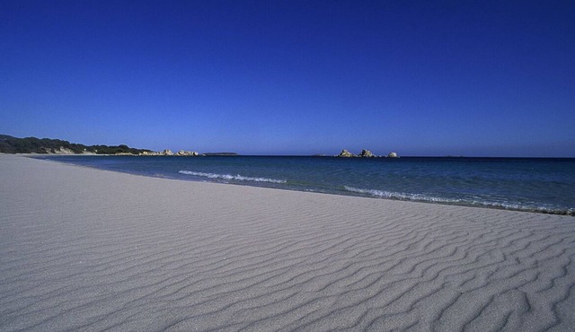 Ideal location and nature! House with sea view, beach 200 metres away