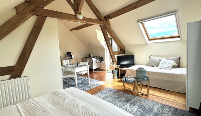 Le Moulin d'Olivet - 10min from Beauval zoo, in the heart of the Loire castles