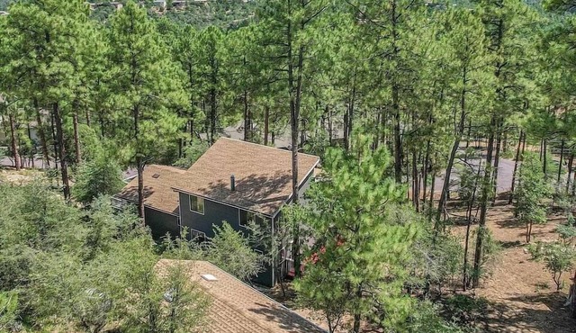 Mountain Cabin Retreat in the Pines