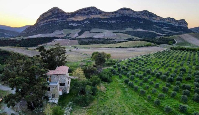 MULINU BIANCU in Poggio-dʼOletta