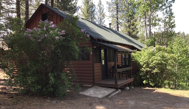 Nature Sabbatical ~ Cabin with Amazing River Views on 40 Acres
