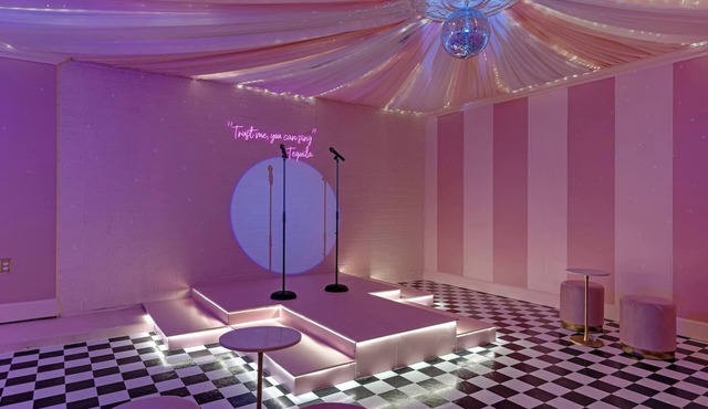 NEW The Pink Palace