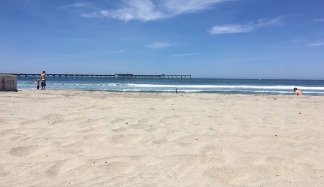 Perfect View Beach House Location! Steps from Ocean Beach Sand Dollar Cottage