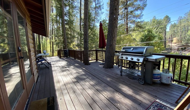 Pet-friendly cabin by the creek backing forest service